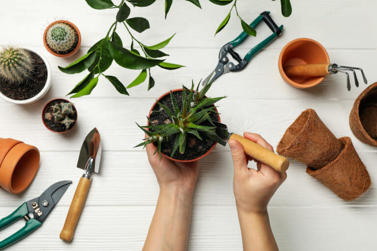¿Cómo cuidar las herramientas de jardín?